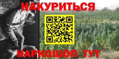 МДПВ Новодвинск
