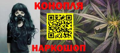 стаф Новокубанск