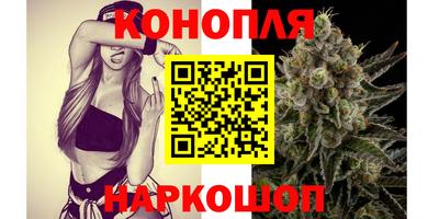 стаф Новокубанск