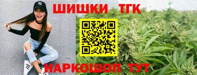 стаф Новокубанск