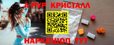 стаф Новокубанск