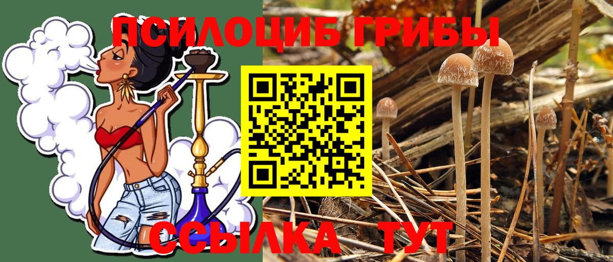 продажа наркотиков  Вход с VPN  Геленджик  Псилоцибиновые грибы MAGIC MUSHROOMS 